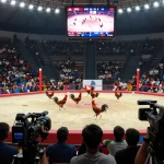 Watch trực tiếp đá gà action with thrilling live combat scenes showcasing intense rooster matches.